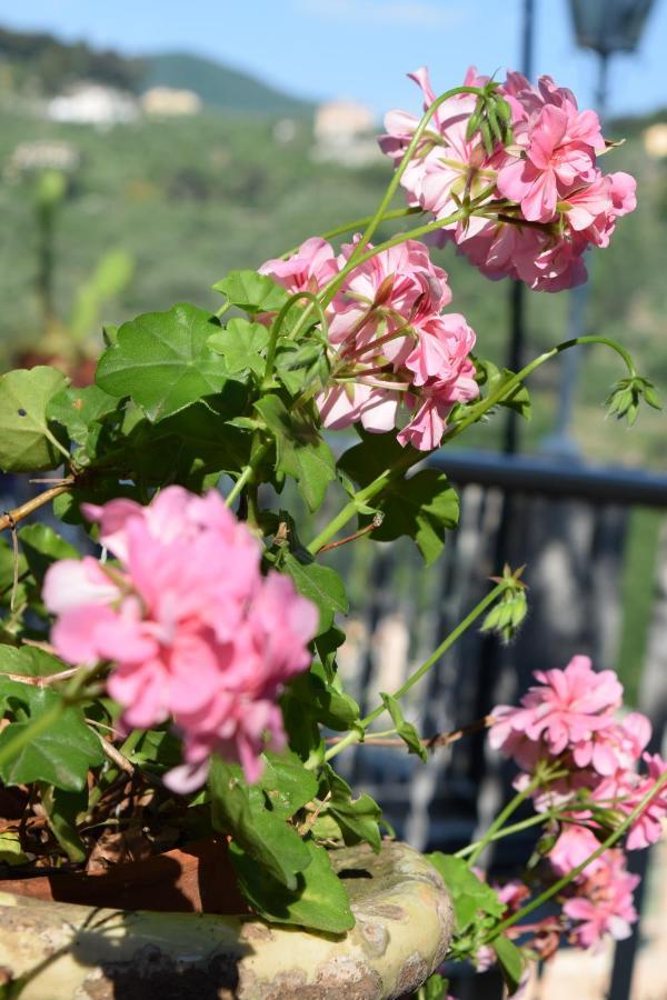 Villa Il Respiro Zoagli Ngoại thất bức ảnh